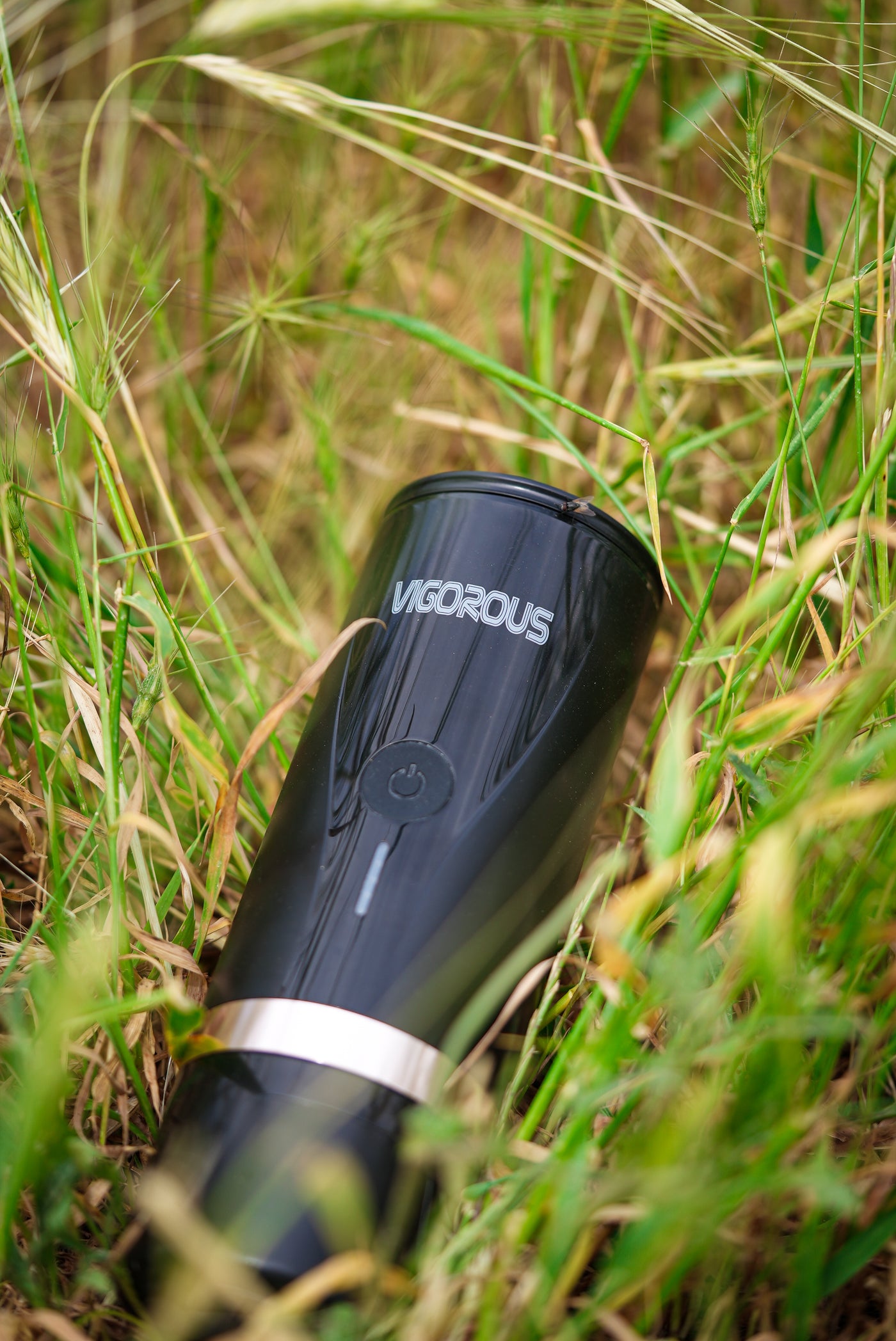 About VIGOROUS