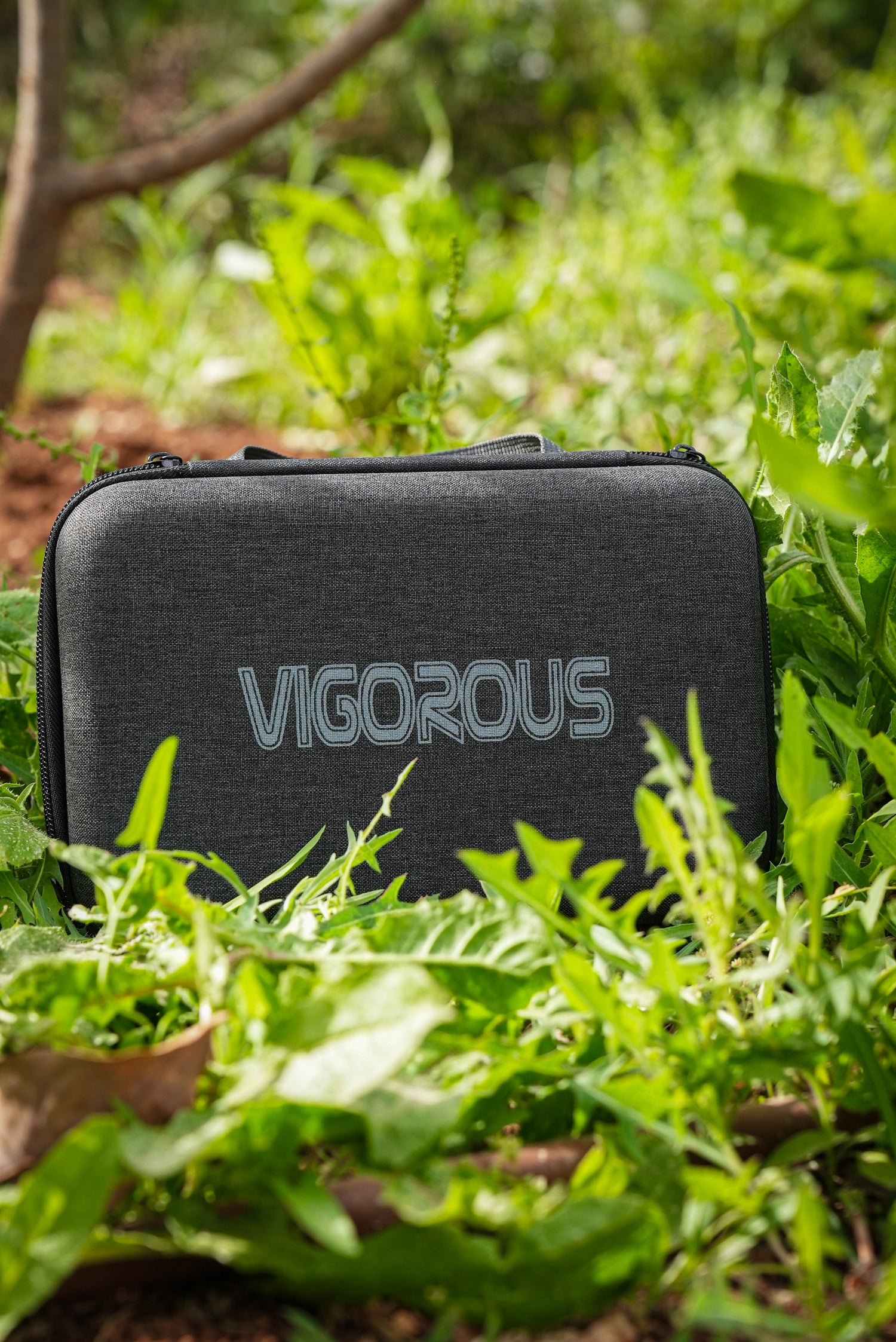 VIGOROUS ® Nano Rose Gold Color with Case